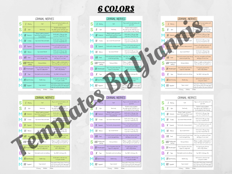 Cranial Nerves Cheat Sheets Study In Nursing