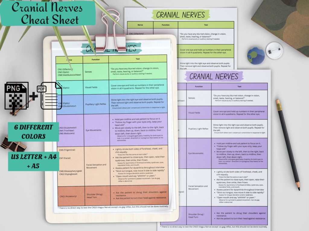 Cranial Nerves Cheat Sheet Study In Nursing