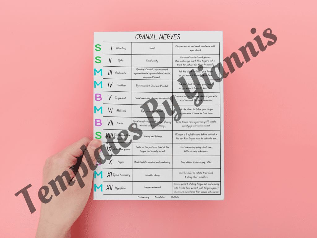 Cranial Nerves Cheat Sheets - Study In Nursing