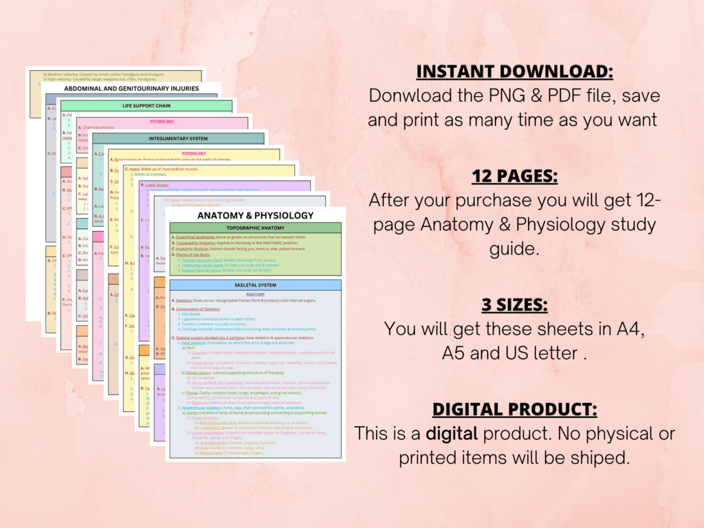 Anatomy AND Physiology Study Guide - Study In Nursing