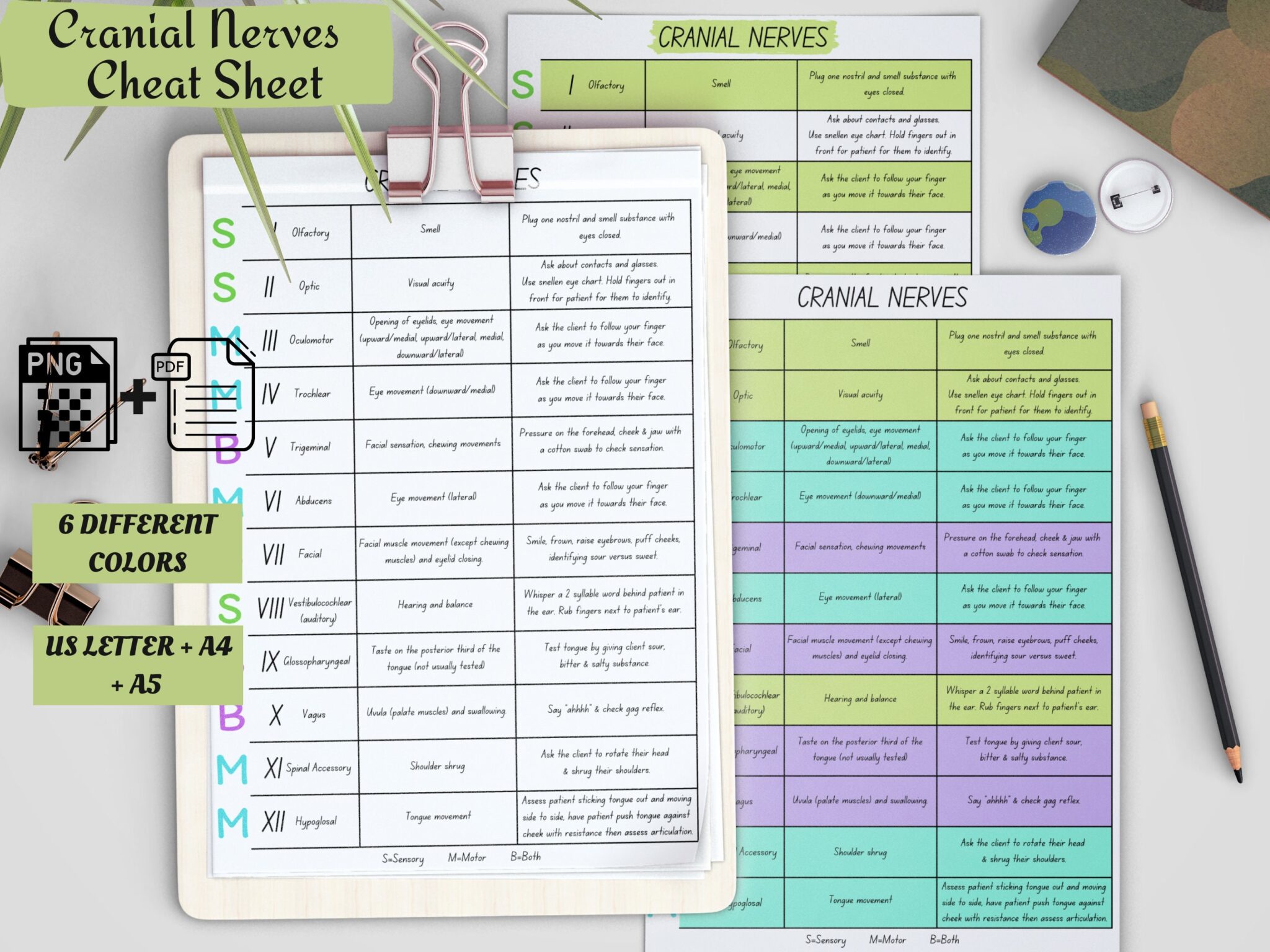 Cranial Nerves Cheat Sheets - Study In Nursing