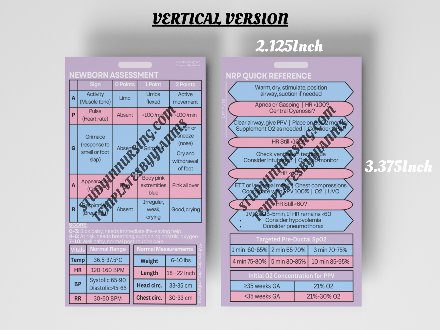 Newborn Assessment & NRP Quick Reference Badge Buddy Card - Study In ...