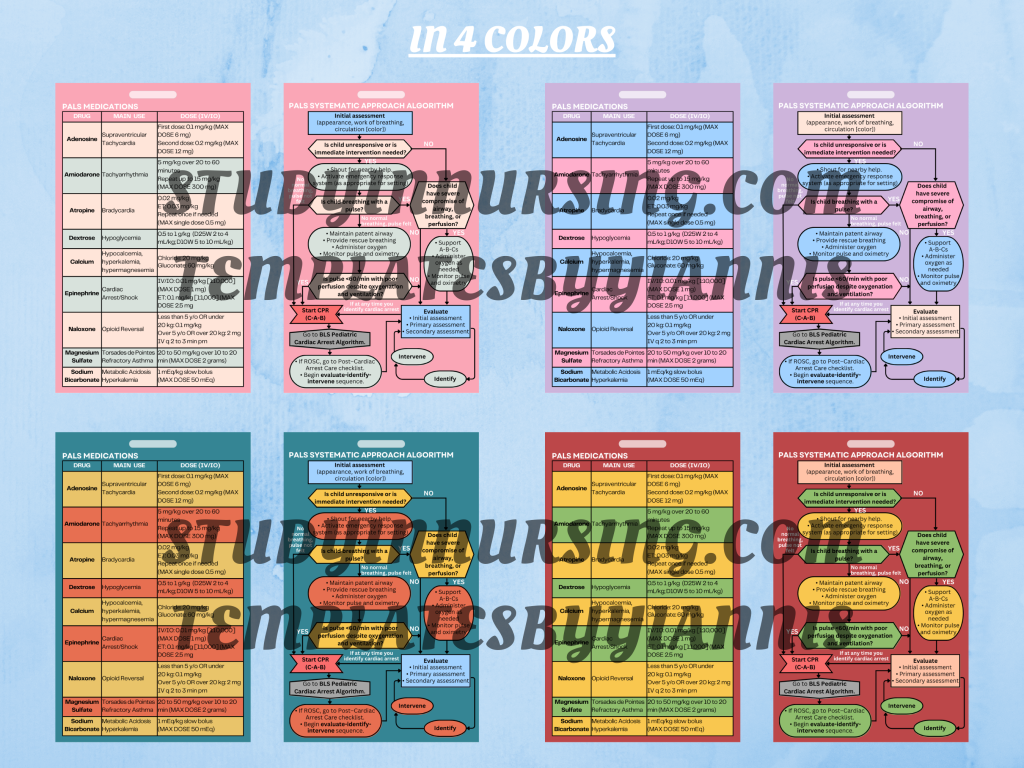 PALS Quick Reference Budge Buddy - Study In Nursing