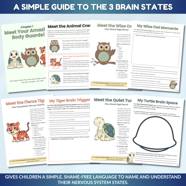 Polyvagal Theory Worksheets for Kids - Image 4
